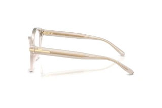 Sidevisning Ralph Lauren RL6256U (6112)