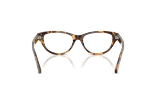 Bagside Ralph Lauren RL6257U (6178)