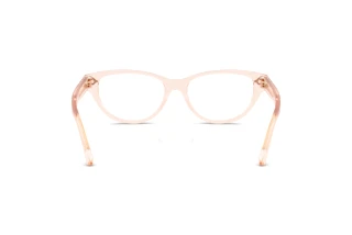 Bagside Ralph Lauren RL6257U (6305)