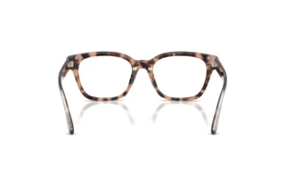 Bagside Ralph Lauren RL6258U (6307)