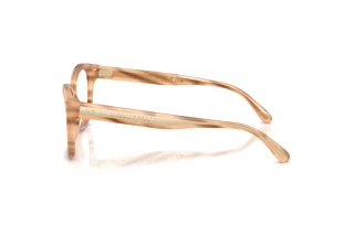 Sidevisning Ralph Lauren RL6259U (6179)