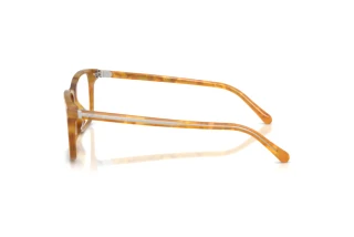 Sidevisning Ralph Lauren RL6264U (6185)