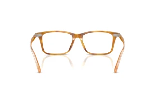 Bagside Ralph Lauren RL6264U (6185)