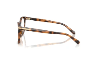 Sidevisning Ralph Lauren RL6266U (6089)