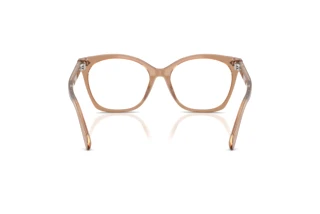 Bagside Ralph Lauren RL6266U (6377)