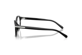 Sidevisning Ralph Lauren RL6267U (5001)