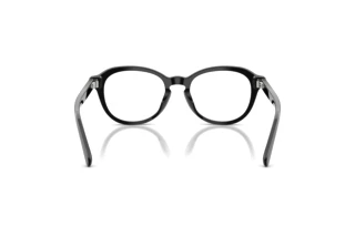 Bagside Ralph Lauren RL6267U (5001)