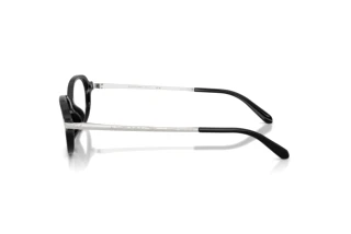 Sidevisning Ralph Lauren RL6269U (5001)