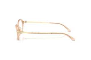 Sidevisning Ralph Lauren RL6269U (6062)
