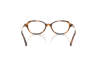 Bagside Ralph Lauren RL6269U (6089)