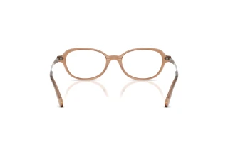 Bagside Ralph Lauren RL6269U (6377)