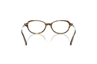 Bagside Ralph Lauren RL6269U (6378)