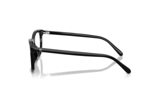 Sidevisning Ralph Lauren RL6270U (5001)