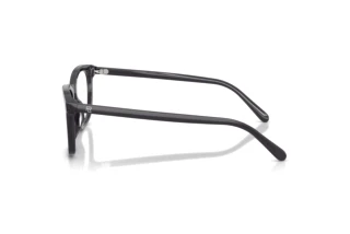 Sidevisning Ralph Lauren RL6270U (5965)