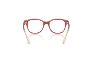 Bagside Ray-Ban Kids RY1950 (7204)