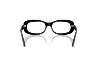 Bagside Ray-Ban RX2221V (2000)