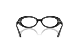 Bagside Ray-Ban RX2223V (2000)