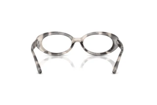 Bagside Ray-Ban RX2223V (8480)