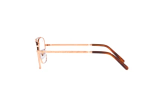 Sidevisning Ray-Ban NEW CARAVAN (RX3636V - 3094)