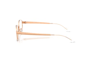 Sidevisning Ray-Ban RX3774VD (3094)