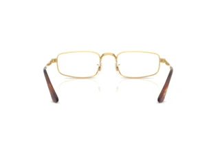 Bagside Ray-Ban RX3927V (2500)