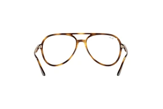 Bagside Ray-Ban RX4376V (2012)