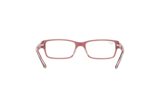 Bagside Ray-Ban RX5169 (8120)