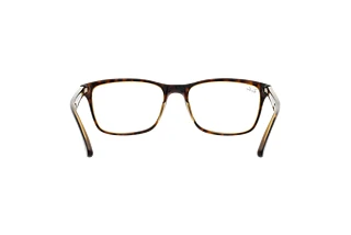 Bagside Ray-Ban RX5279 (8285)