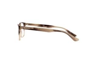 Sidevisning Ray-Ban RX5375 (8107)