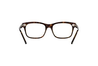 Bagside Ray-Ban MR BURBANK (RX5383 - 8285)