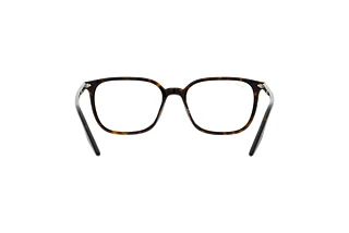 Bagside Ray-Ban RX5406 (2012)