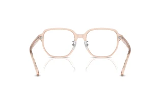 Bagside Ray-Ban RX5424D (8267)