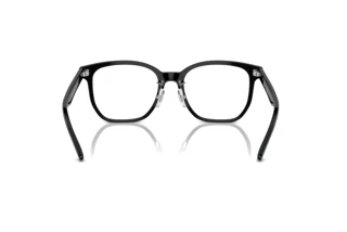 Bagside Ray-Ban RX5425D (2000)