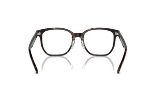 Bagside Ray-Ban RX5425D (2012)