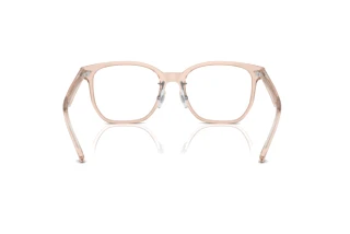 Bagside Ray-Ban RX5425D (8267)