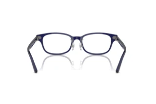 Bagside Ray-Ban RX5427D (8288)