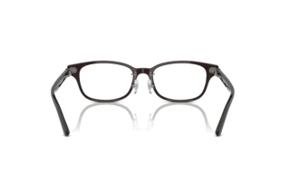 Bagside Ray-Ban RX5427D (8290)