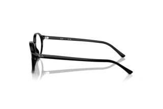 Sidevisning Ray-Ban GERMAN (RX5429 - 2000)