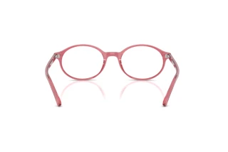 Bagside Ray-Ban GERMAN (RX5429 - 8440)