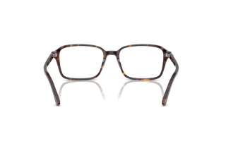 Bagside Ray-Ban RAIMOND (RX5431 - 2012)