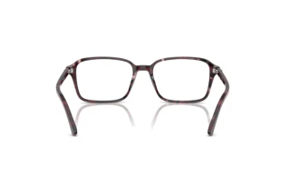 Bagside Ray-Ban RAIMOND (RX5431 - 8393)