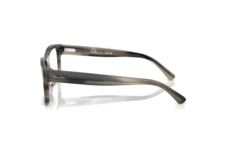 Sidevisning Ray-Ban RX5435 (8404)