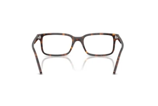 Bagside Ray-Ban RX5445 (2012)