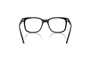 Bagside Ray-Ban RX5446 (2000)