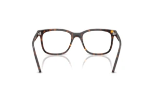 Bagside Ray-Ban RX5446 (2012)