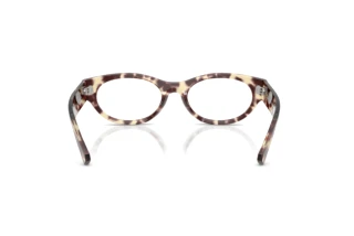 Bagside Ray-Ban RX5447 (8459)