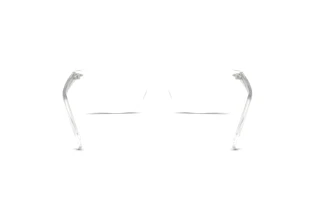 Bagside Ray-Ban RX5450 (2001)