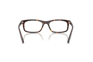 Bagside Ray-Ban RX5450 (2012)