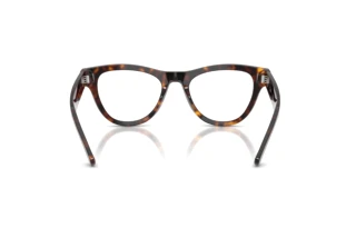 Bagside Ray-Ban RX5510 (2012)