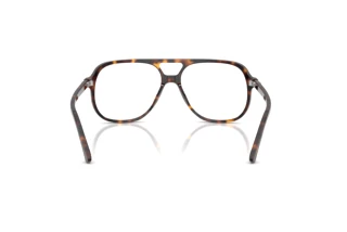 Bagside Ray-Ban RX5698 (2012)